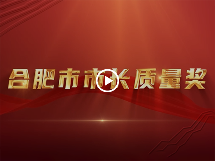合肥市市長質量獎